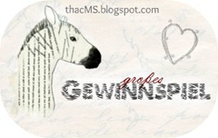 thacMS.blogspot.com Gewinnspiel